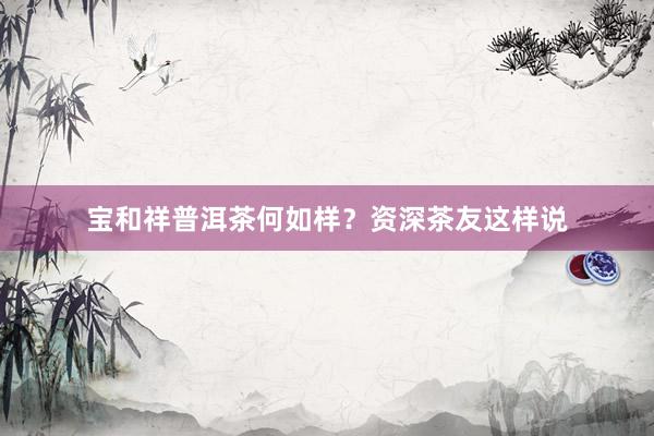 宝和祥普洱茶何如样？资深茶友这样说