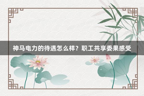 神马电力的待遇怎么样？职工共享委果感受